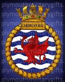 HMS Cardigan Bay Magnet